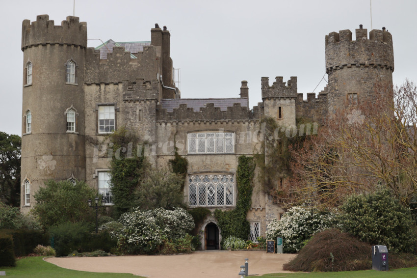 Malahide Castle  3