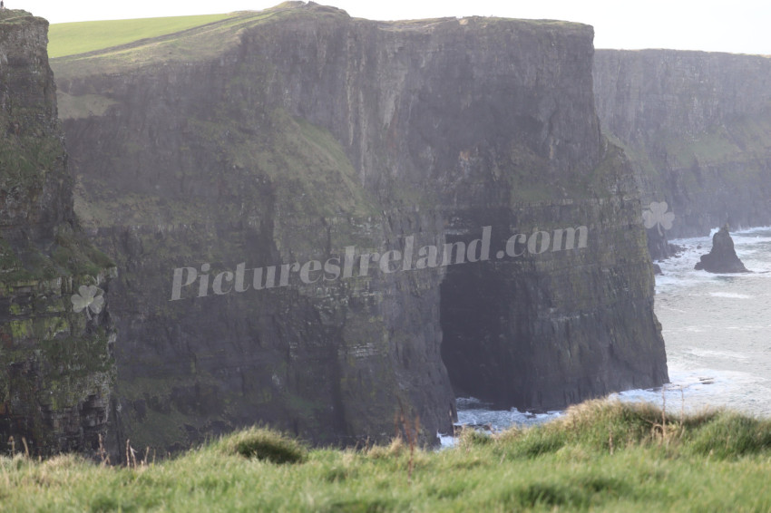 Cliffs of Moher 11