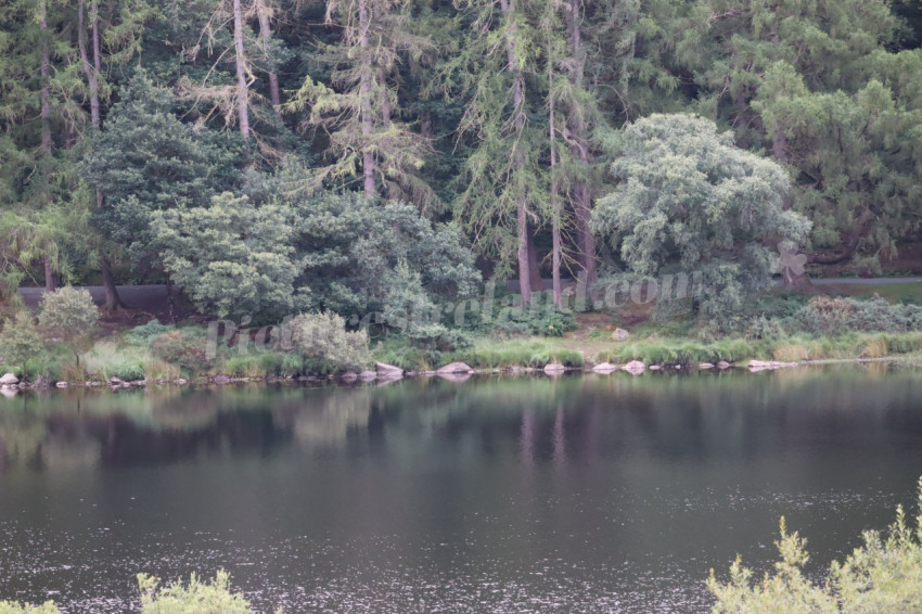 Glendalough 13