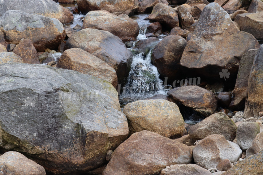 Glendalough 20