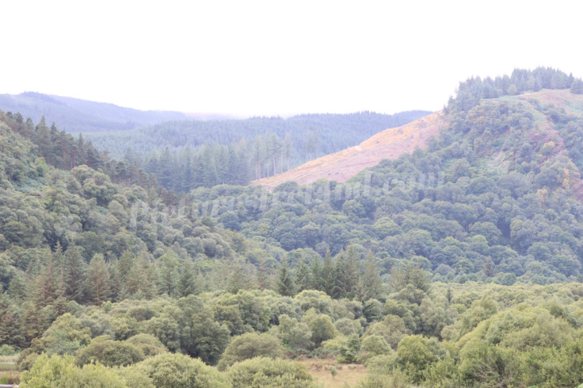 Glendalough 6