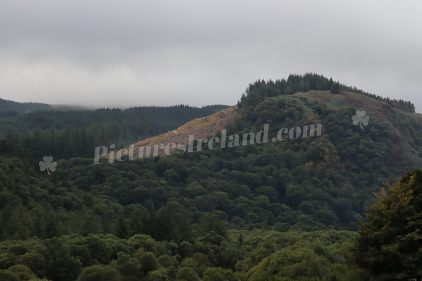 Glendalough 8