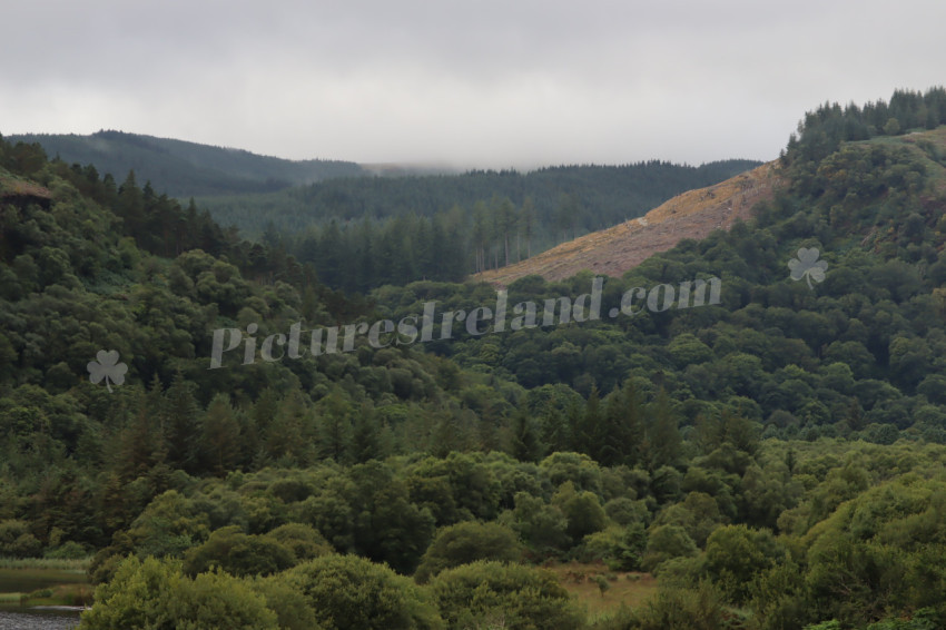 Glendalough 7