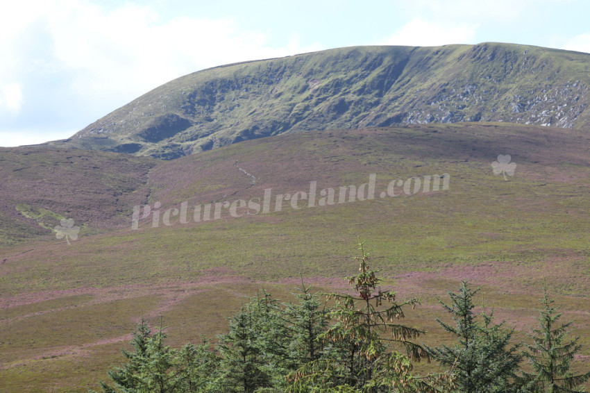 Mountains in Ireland 17