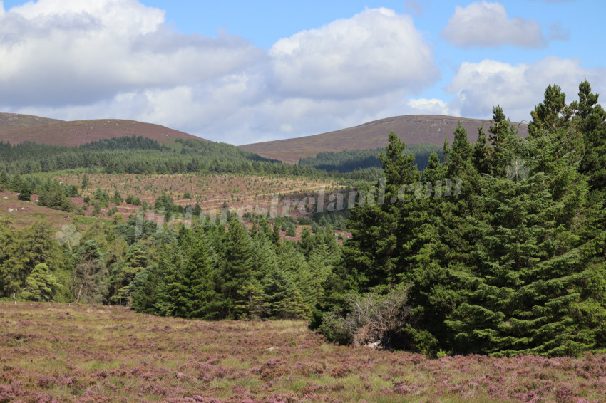 Mountains in Ireland 19