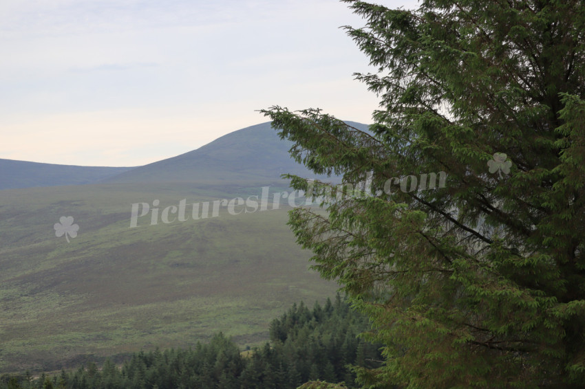 Irish Mountains 4