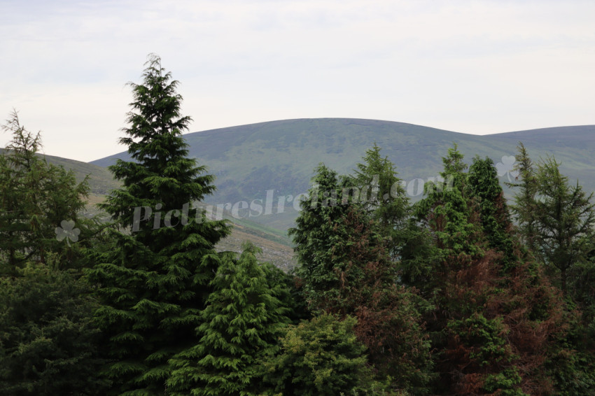 Irish Mountains