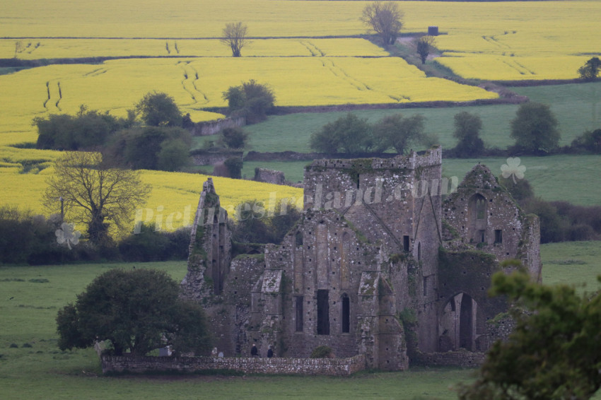 Rock of Cashel (22)