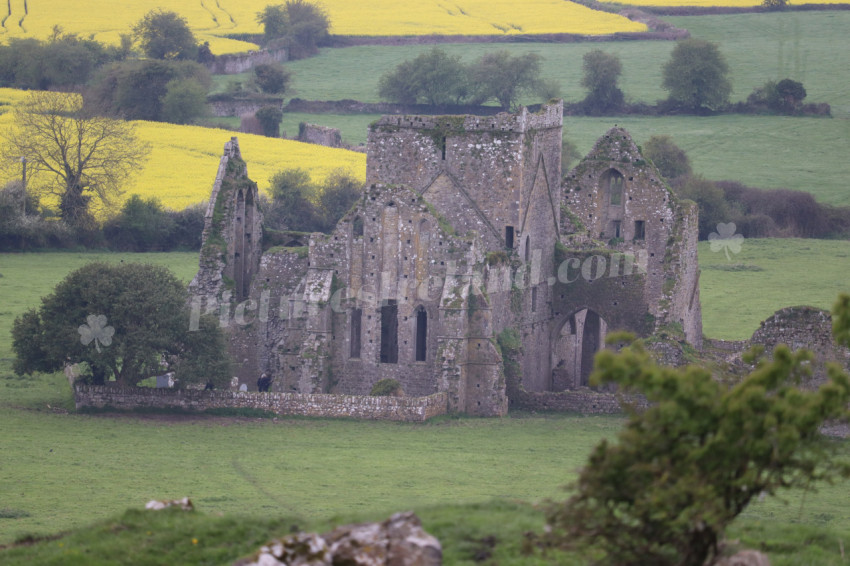 Rock of Cashel (23)