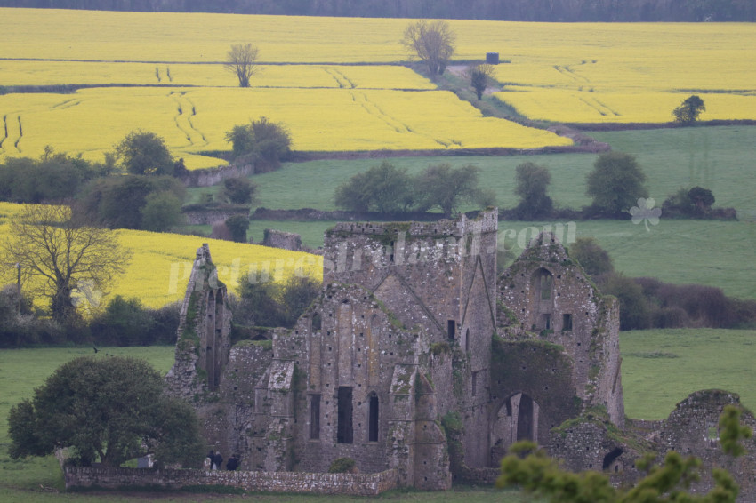 Rock of Cashel (24)