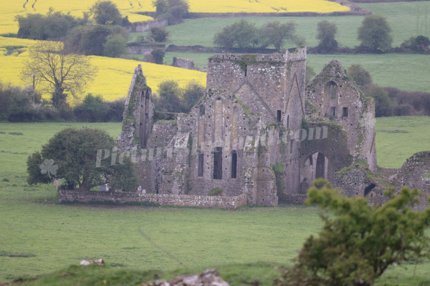 Rock of Cashel (25)