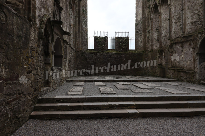 Rock of Cashel (16)