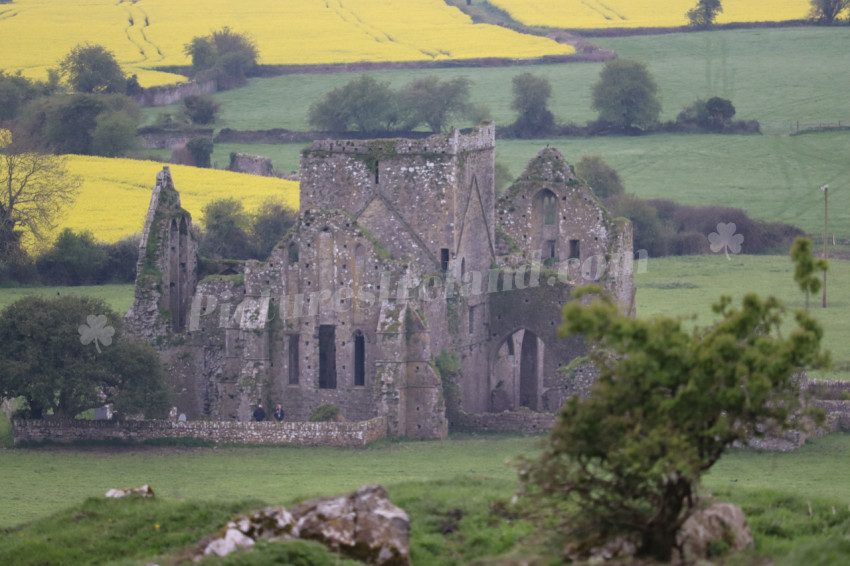 Rock of Cashel (21)