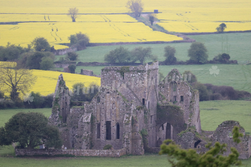 Rock of Cashel (26)