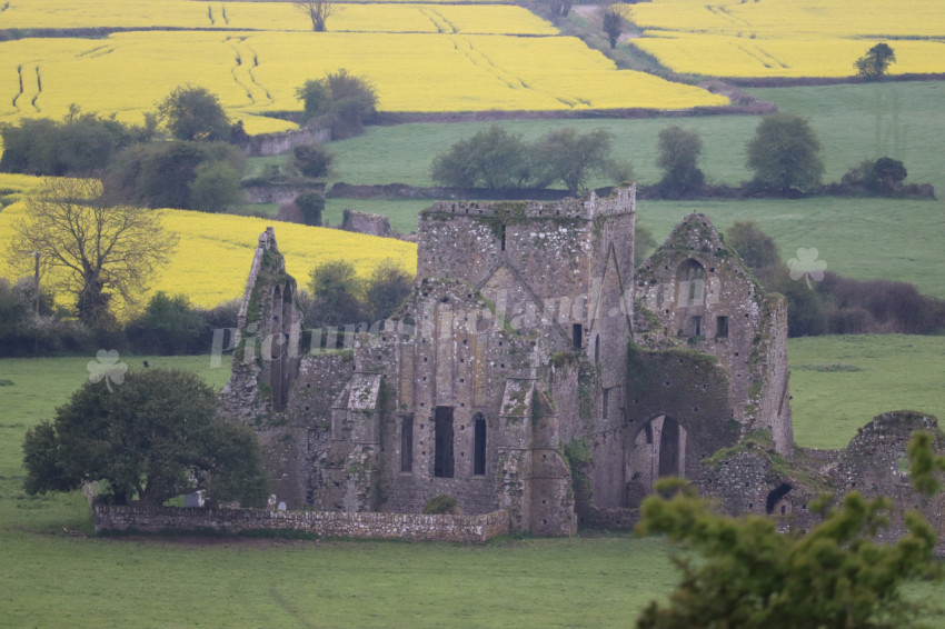 Rock of Cashel (27)