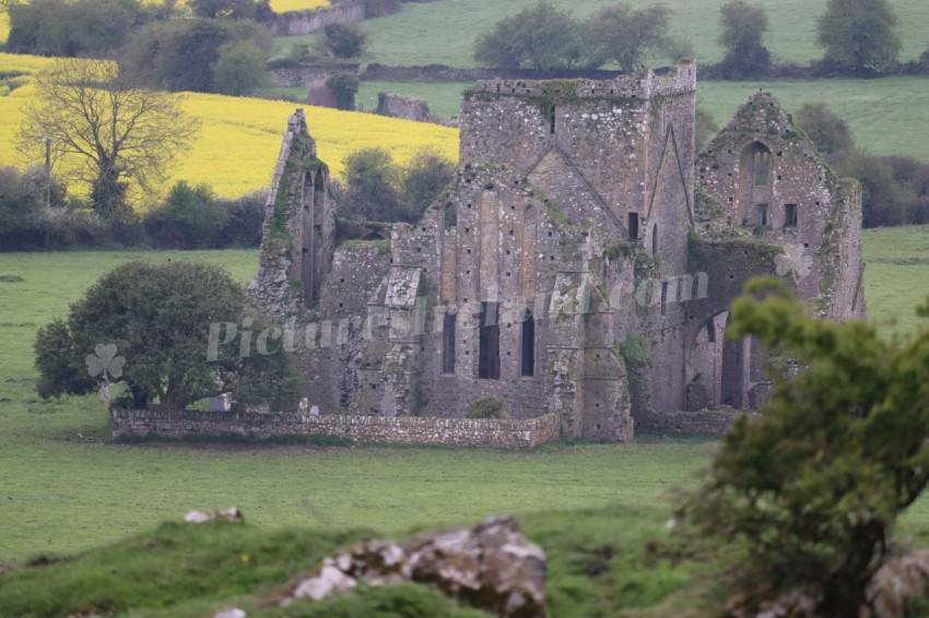 Rock of Cashel (28)