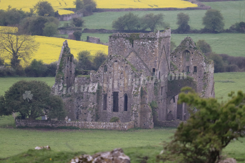 Rock of Cashel (31)