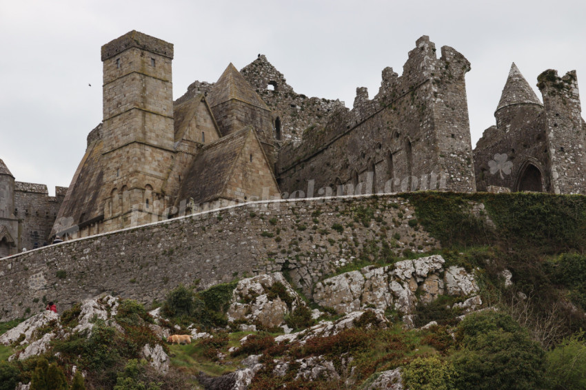 Rock of Cashel (48)
