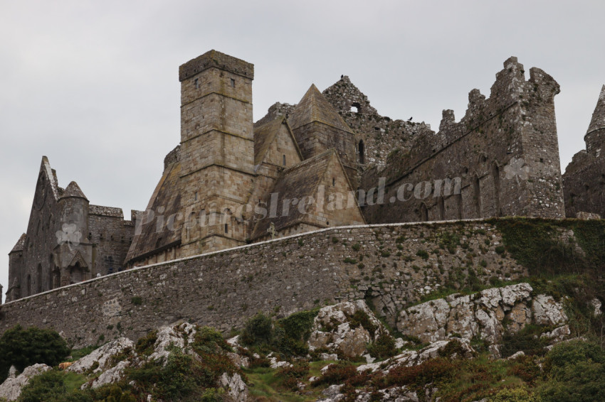 Rock of Cashel (50)