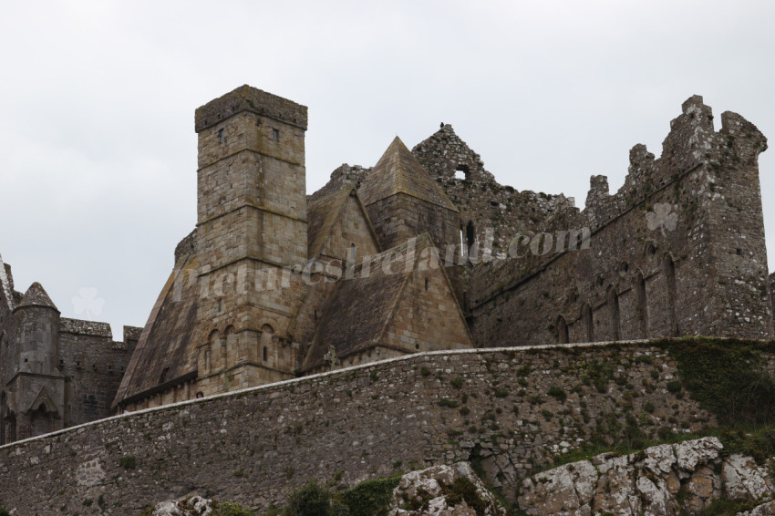 Rock of Cashel (64)