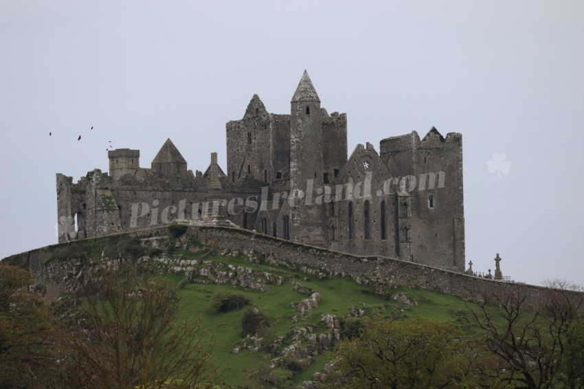 Rock of Cashel (69)