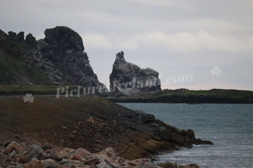 Cliff walks in Howth