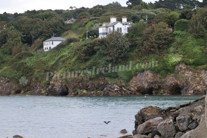 Cliff walks in Howth