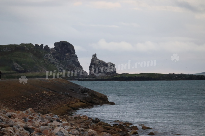 Cliff walks in Howth