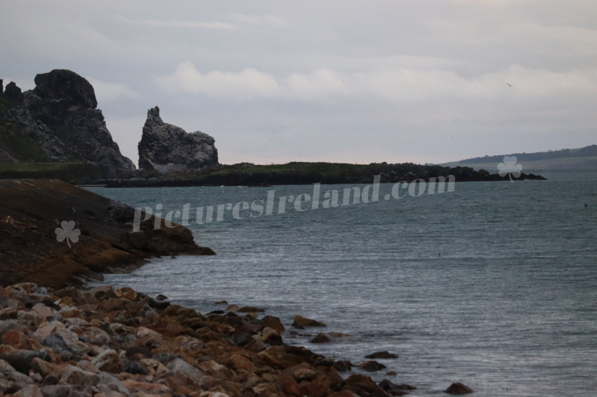 Cliff walks in Howth