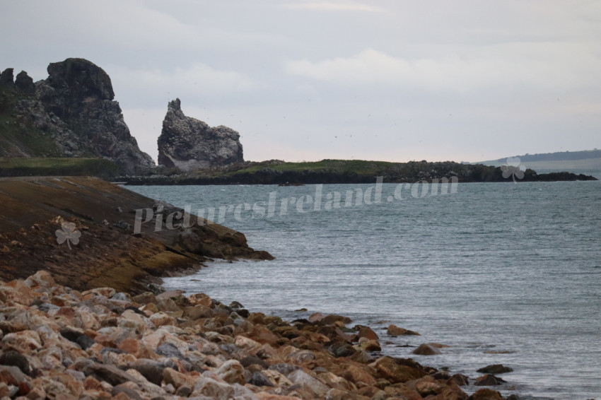 Cliff walks in Howth