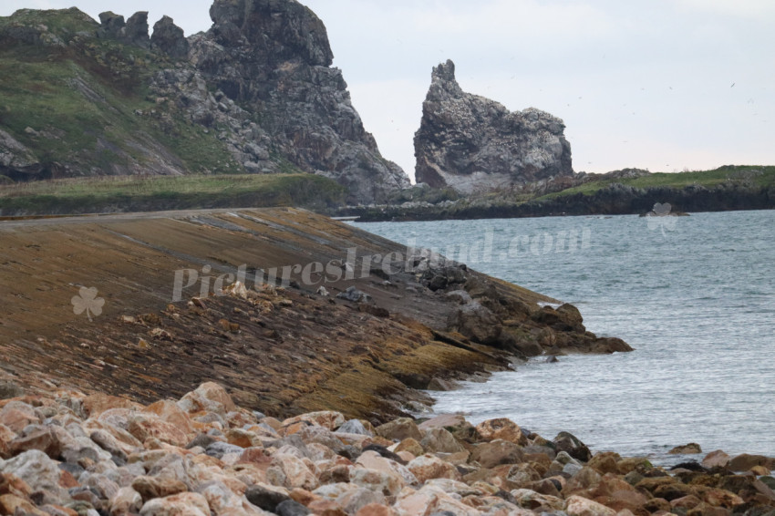 Cliff walks in Howth
