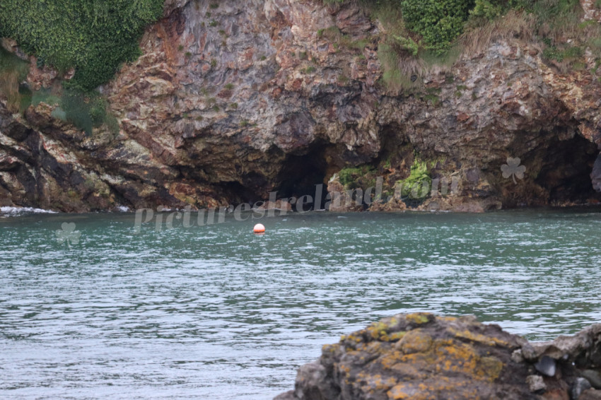 Cliff walks in Howth