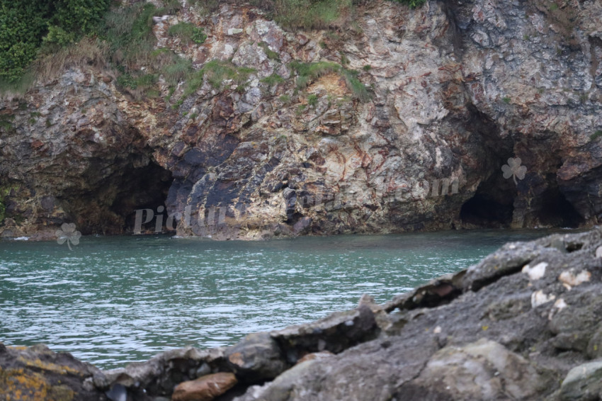 Cliff walks in Howth