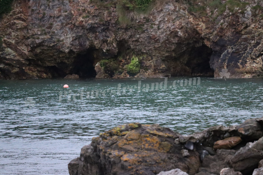 Cliff walks in Howth