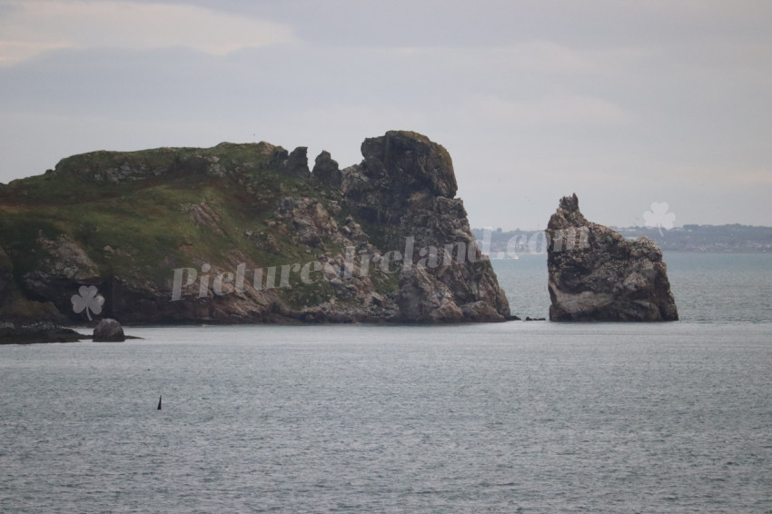 Cliff walks in Howth