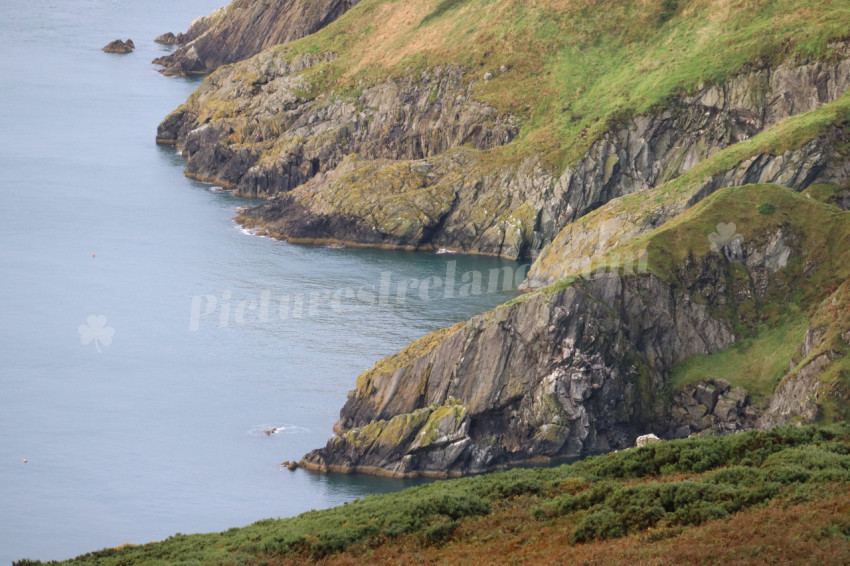 Cliff walks in Howth