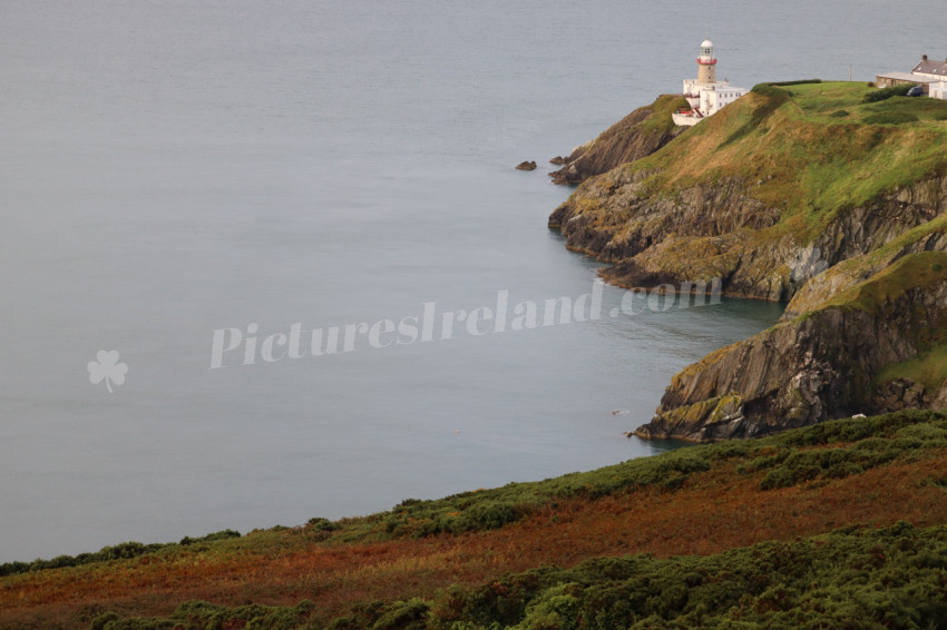 Cliff walks in Howth