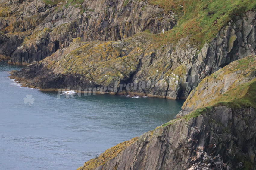 Cliff walks in Howth
