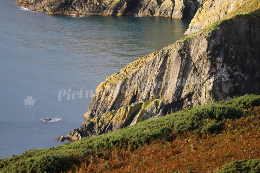 Cliff walks in Howth