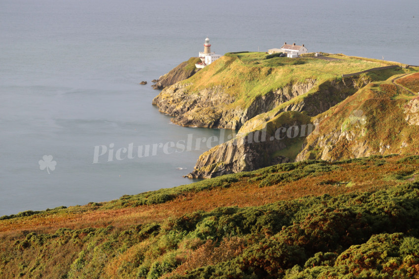 Cliff walks in Howth