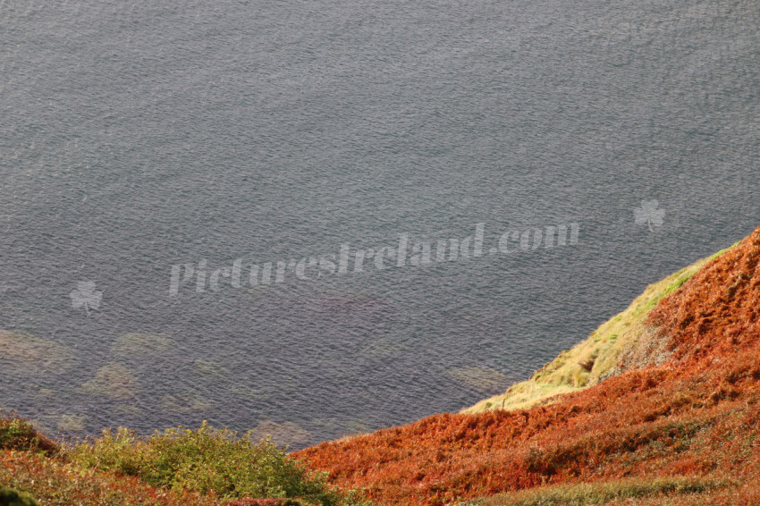 Cliff walks in Howth
