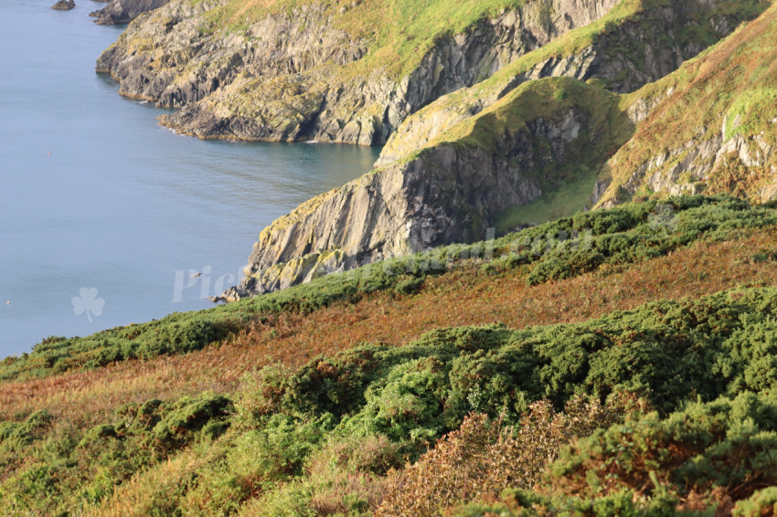Cliff walks in Howth