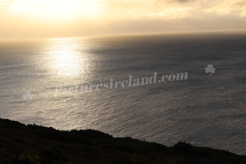 Cliff walks in Howth