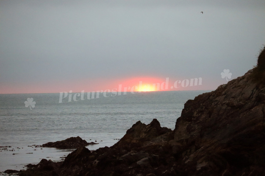 Morning in Bray