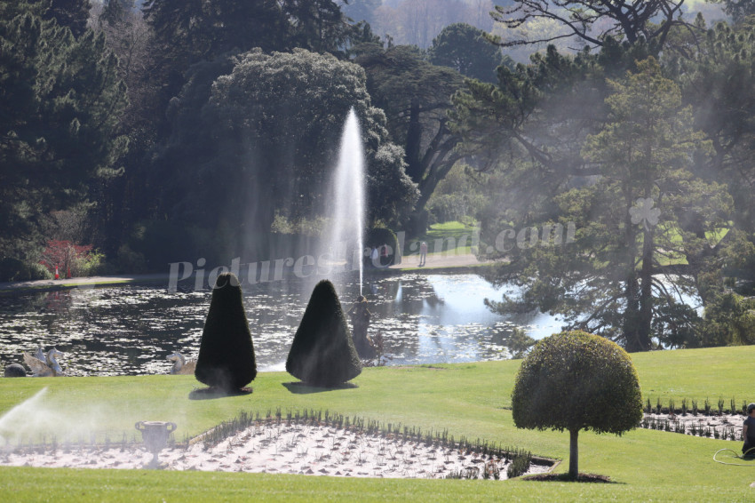 Powerscourt 4