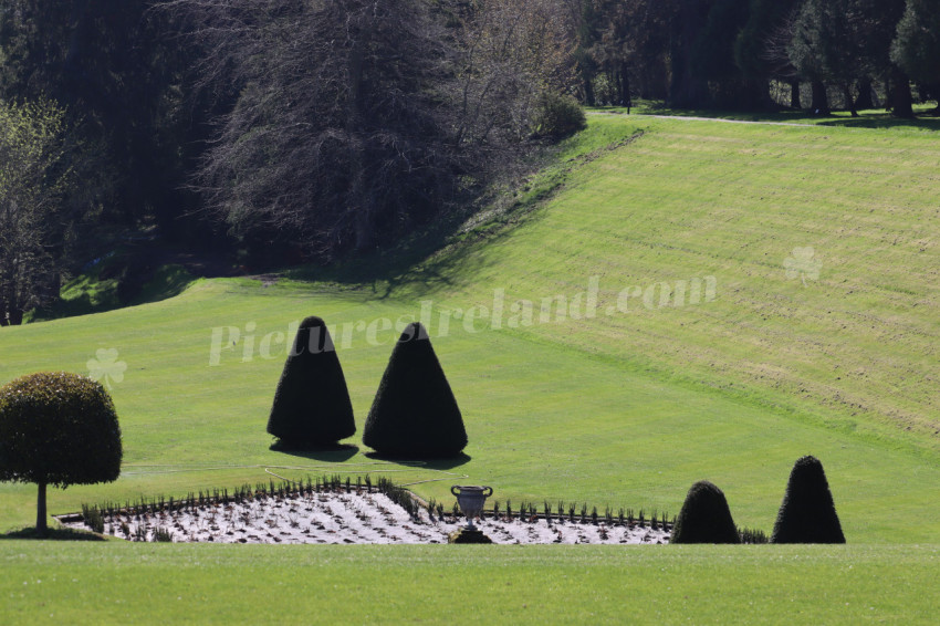 Powerscourt 5