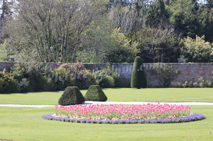 Powerscourt 9