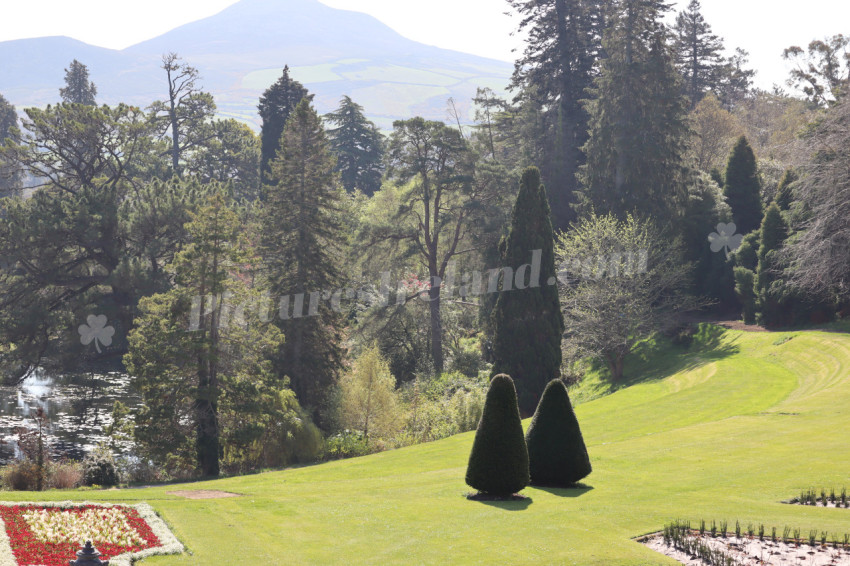 Powerscourt 49