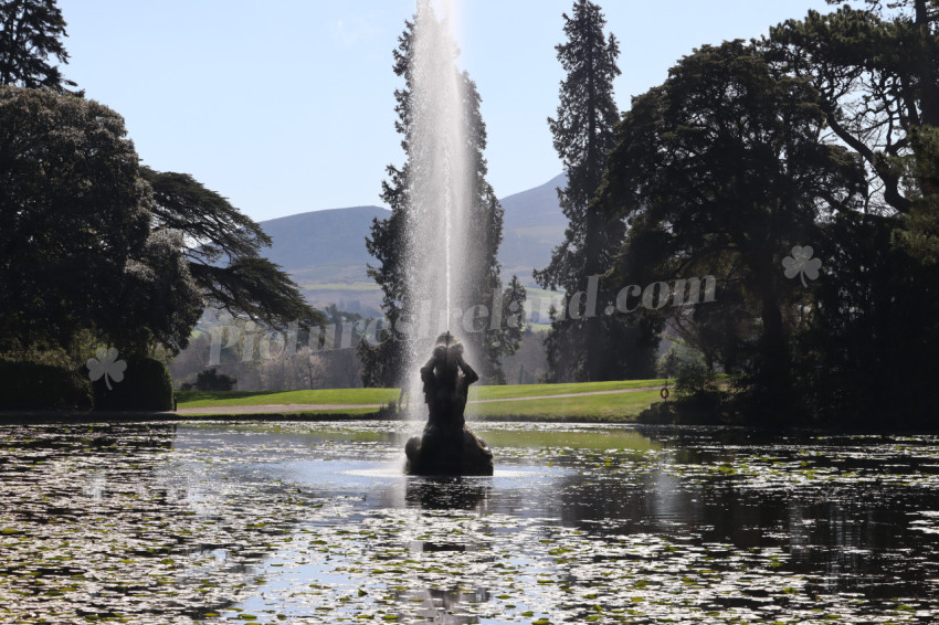 Powerscourt 57