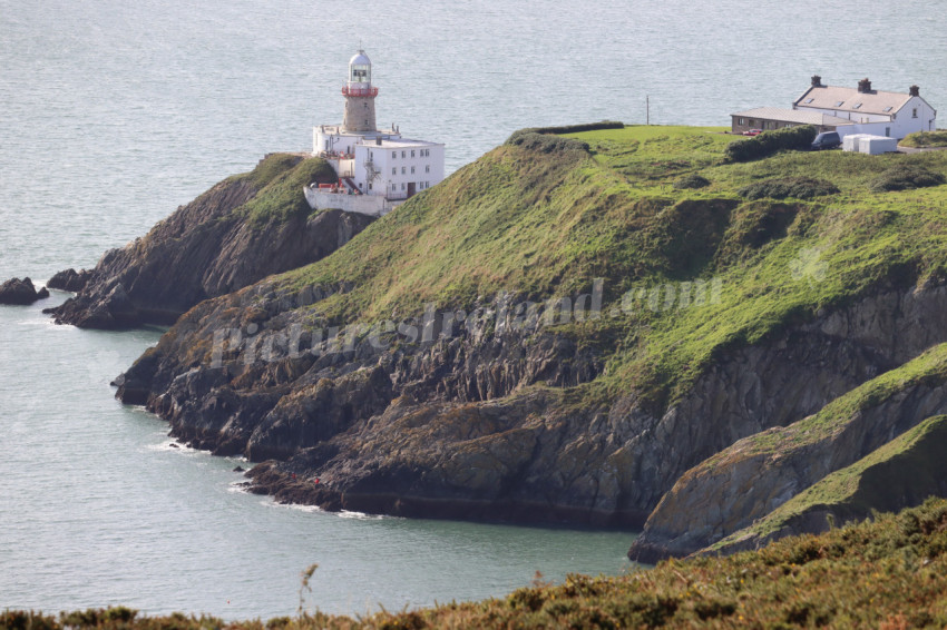 Cliff walks in Howth